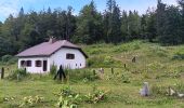 Excursión Senderismo Lajoux - Le crêt de la vigoureuse (le vrai) - Photo 12