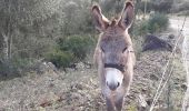 Tour Wandern Saint-Raphaël - Barre du Roussivau - Sommets des Perthus - Photo 1