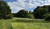 Percorso Marcia Arlon - Balisage GR 15   Guirsch -Tontelange - Photo 5