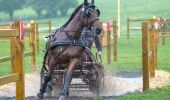 Randonnée Randonnée équestre Bertrix - BERTRIX FB : Chevaux et attelage sur les traces de la route de Madame d'Artagnan - Photo 2