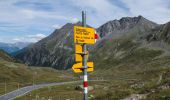 Tour Zu Fuß Zernez - Flüela-Schwarzhorn - Photo 2