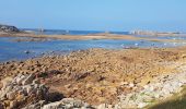 Randonnée Marche Plougrescant - Le gouffre, la pointe du château à Plougrescant - Photo 13