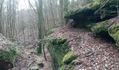 Trail Walking Baerenthal - schmalenthal, bannstein, hammerschless - Photo 7
