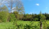 Randonnée Marche Esneux - entre Mery et bois Manant - Photo 7