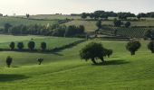 Excursión Bici de montaña Dalhem - 20190717 Yeyette chez Iplain - Photo 4