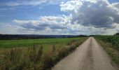 Randonnée Marche Rambrouch - au pays de l ardoise  - Photo 3