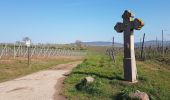 Randonnée Marche Dahlenheim - Circuit du Rutscherle variante - Photo 19