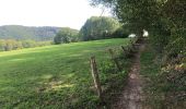 Trail Walking Esneux - Boucle de l’Outhe - Photo 2