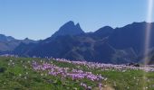 Trail Walking Laruns - le pic du Montagnon d'Iseye / lac du Montagnon - Photo 3