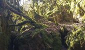 Trail Walking Nant - boucle des canalettes - Photo 1