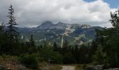 Trail Walking Villard-de-Lans - tour bois barbu. malaterre, le sapin bellier - Photo 2