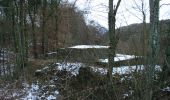 Trail On foot Baldingen - Rundweg - fixme - Photo 4