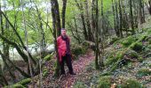 Trail Walking Chauvigny - Ferme du maras - Photo 1