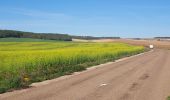 Tour Rennrad Paron - 121 E75 Foissy sur Vanne-01 - Photo 1