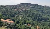 Tocht Stappen Bolsena - Acquapendente / Montefiascone - Photo 12