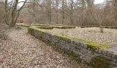 Trail Walking Doische - Matagne la petite120321 - Photo 3