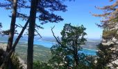 Trail Walking Moustiers-Sainte-Marie - Plein Voir Verdon  - Photo 6