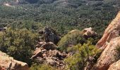 Tour Wandern Saint-Raphaël - Les Suvières et le Marsaou depuis Notre Dame - Photo 10