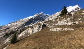 Trail Nordic walking Le Grand-Bornand - La Colombière - Photo 2