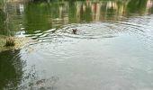 Trail Walking Aubin - Aubin 1 - Photo 1