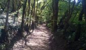 Trail Walking Baume-les-Dames - PONT LES MOULINS - Photo 6