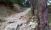 Trail Walking Séguret - 2019-06-25 Seguret - Photo 3