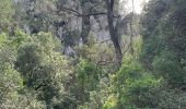 Tour Wandern Le Castellet - Le vallon des martyr  - Photo 2