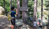 Trail Walking Vivario - cascade  de manganello et de meli - Photo 5