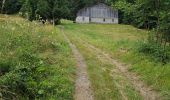 Tour Wandern Samoëns - 20230728 Le Bemont  - Photo 4