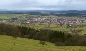 Randonnée A pied Schwäbisch Gmünd - rotes Kreuz Wäschenbeuren-Rechberg-Kaltes Feld SAV - Photo 5