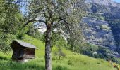 Randonnée Marche Samoëns - en direction du Lac des Chambres  - Photo 3