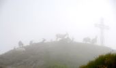 Tour Zu Fuß Malesco - P17 - Bivio M14 presso Cima della Laurasca - Rifugio Bta di Campo - Cima Pedum - Photo 1