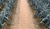 Tour Wandern Aalst - 20221204 Verkenning Moorsel - Photo 4