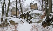 Percorso A piedi Ralsko - NS Hamry u Jezera - Photo 4