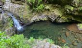 Tocht Stappen Santana - Levada  - Photo 18