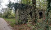 Trail Walking Mettet - Mettet 141122 - Photo 14