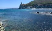 Randonnée Marche Rogliano - Cap Corse Macinaggio à Barcaggio, via tour d’Agnello - Photo 2