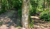 Trail Walking Bièvre - Bellefontaine 250521 - Photo 3