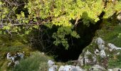Randonnée Marche Andia - Arc de Portupekoleze et grotte de Lezaundi  Puerto Lizarraga  - Photo 9