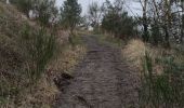 Trail Walking Maasmechelen - La balade des Terhills  - Photo 14