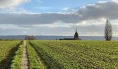 Tocht Stappen Anzegem - Kaster 19 km - Photo 1