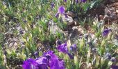 Excursión Senderismo Nîmes - Clos Gaillard  - Photo 19