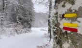 Tour Wandern Laguiole - Bouyssou sous la neige  - Photo 7
