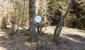 Trail Walking Nassogne - Nassogne 240322 - Photo 6