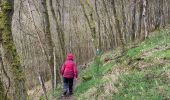 Trail Walking Wellin - Neupont, La Lesse 7 - Photo 5