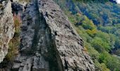 Trail Walking Houffalize - Promenade vers le Rocher du Hérou - Photo 6