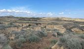 Trail Horseback riding Arguedas - Bardenas jour 7 - Photo 2