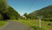 Trail On foot Le Falgoux - Le Roc du Merle - Photo 6