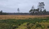 Excursión Senderismo Lanaken - A la découverte de Neerharen 🥾 - Photo 11