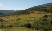 Randonnée Marche Val-d'Aigoual - Mont Aigoual - Cabrillac - Photo 7